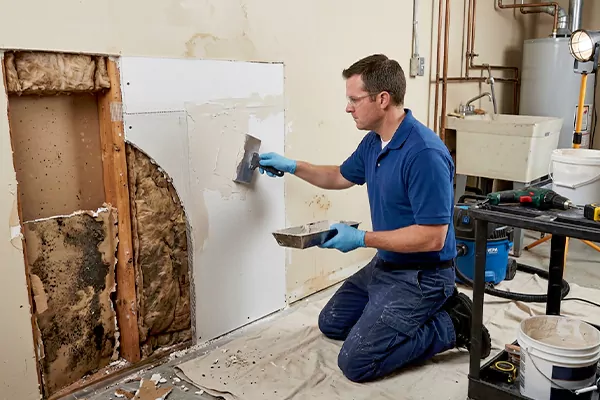 Mold and Drywall Repair Coachella