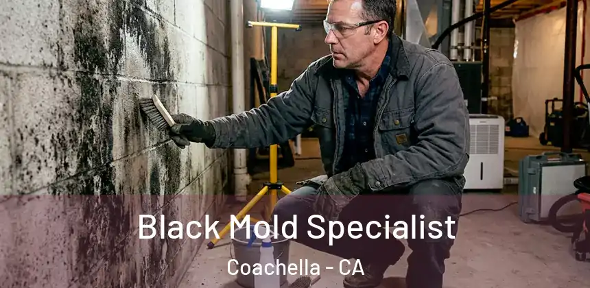 Black Mold Specialist Coachella - CA