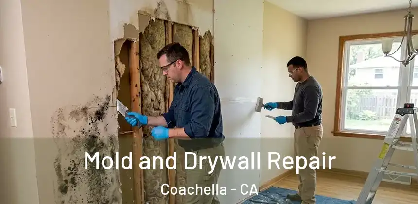 Mold and Drywall Repair Coachella - CA