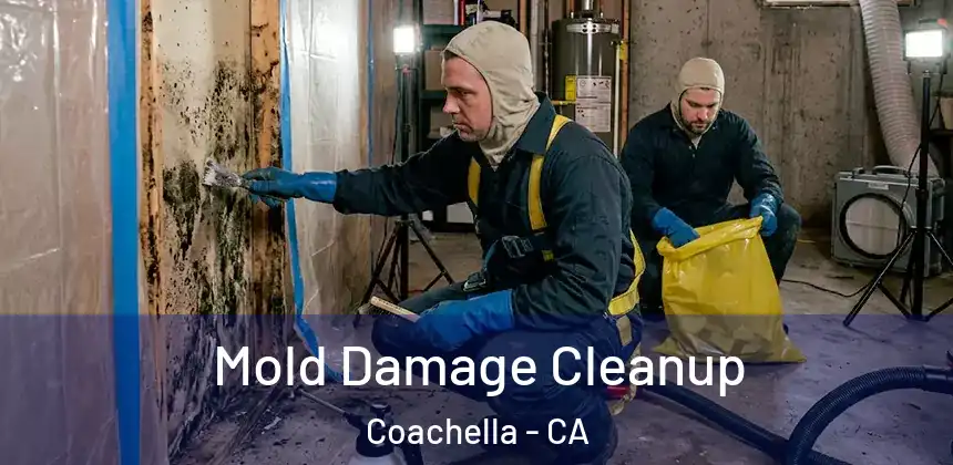 Mold Damage Cleanup Coachella - CA