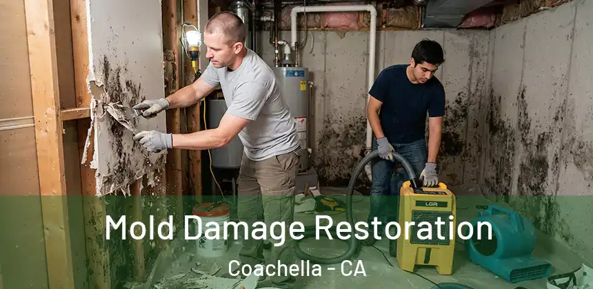  Mold Damage Restoration Coachella - CA