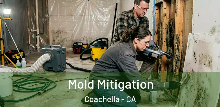 Mold Mitigation Coachella - CA