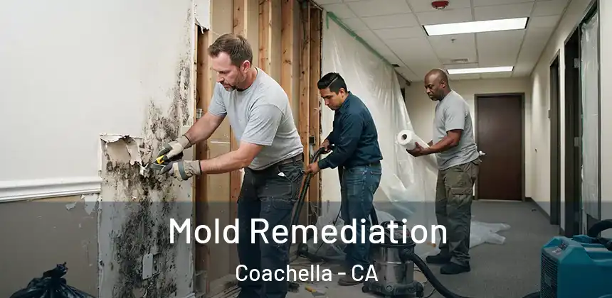  Mold Remediation Coachella - CA