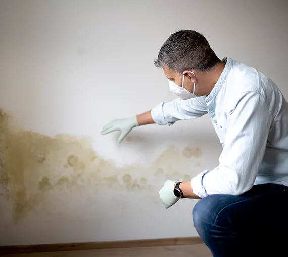 Mold Removal Service in Coachella, CA